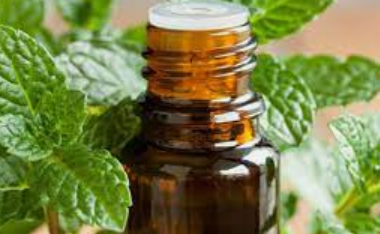 peppermint oil