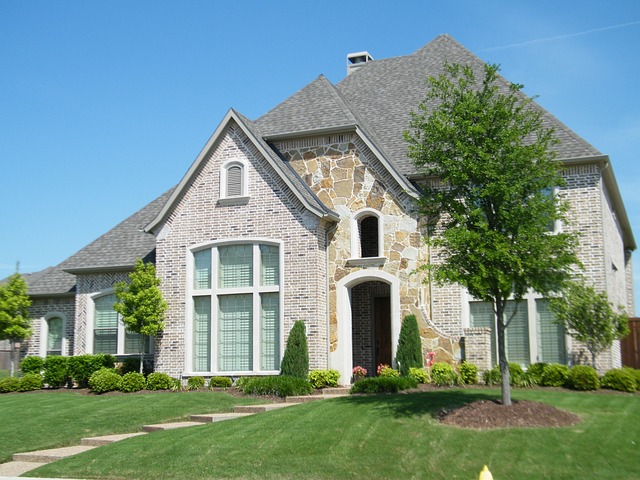 Yard and landscape